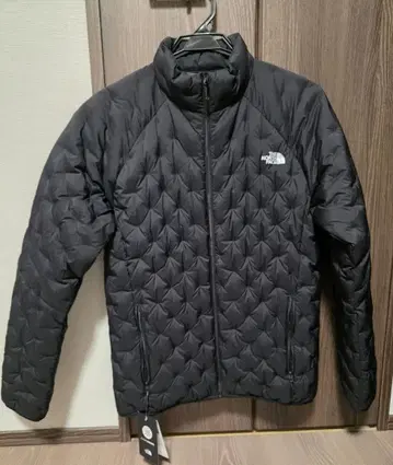 THE NORTH FACE 아스트로라이트 자켓 L 사이즈