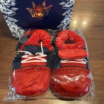 류큐 골든 킹스 고디 슬리퍼