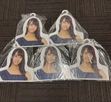 아이돌 행거형 컬렉션 5장 세트