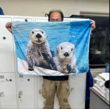 미사용 토바 수족관 랏코 담요