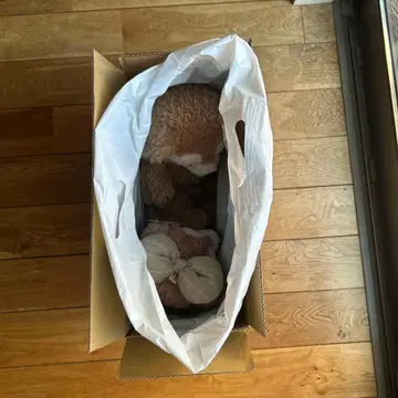 JCB 더 클래스 더피 & 셰리메이 봉제 인형