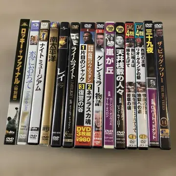 서양화 DVD 컬렉션 14개