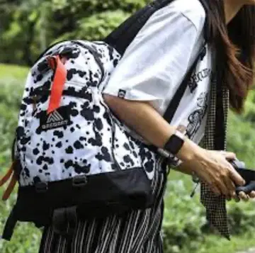 GREGORY 파인 데이 달마시안 백팩 16L