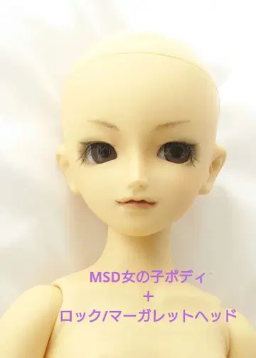 MSD 마가렛 중고