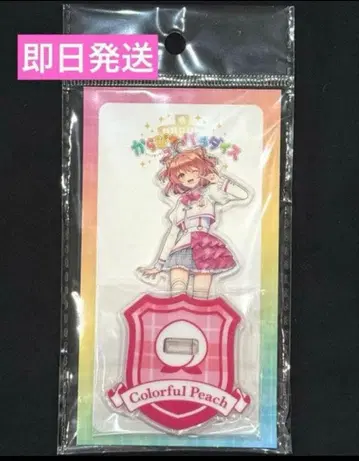 새상품 컬러풀피치 노아님 아크릴 스탠드 파라피치 2025