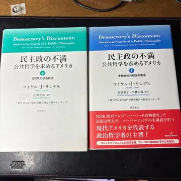 민주정의 불만 공공철학을 구하는 미국 상 하