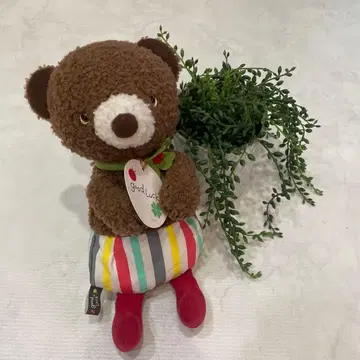 곰돌이 티롤리안 곰돌이 봉제 인형