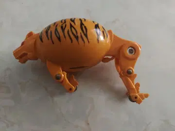 타마고라스 트라