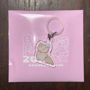 사쿠라자카46 Buddies 감사제 랜덤 메지루시 참 야마시타 시즈키