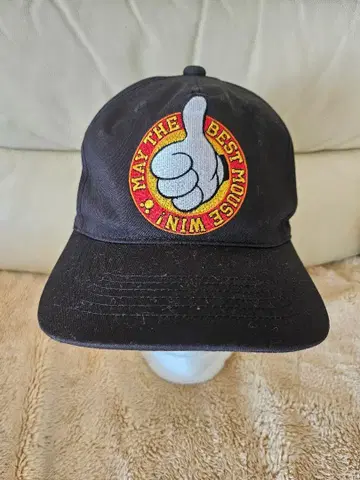 샘스업 미키마우스 캡