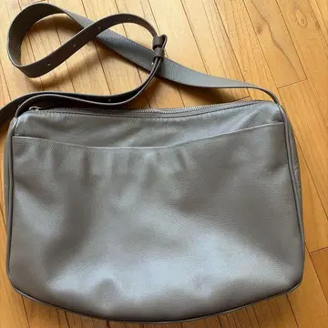 이어 파피용 숄더 그레이 베이지