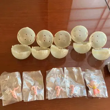 정글은 언제나 맑음 뒤 흐림 춤춘다!