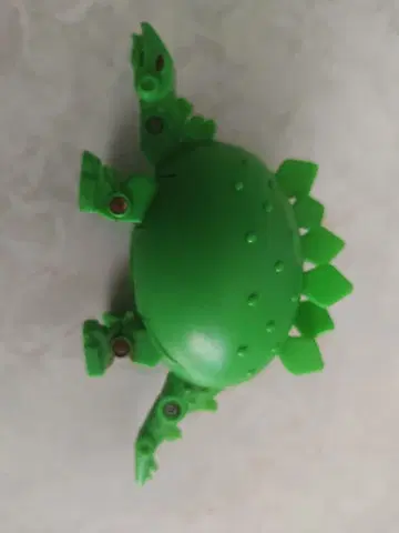 타마고라스 스테고사우르스