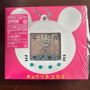 큐소네코가미 기리 헤이세이