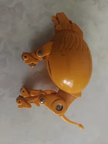 타마고라스 라이온