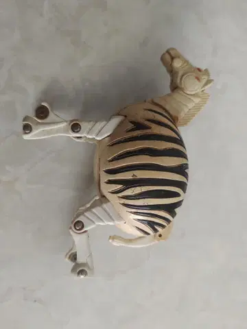 타마고라스 시마우마