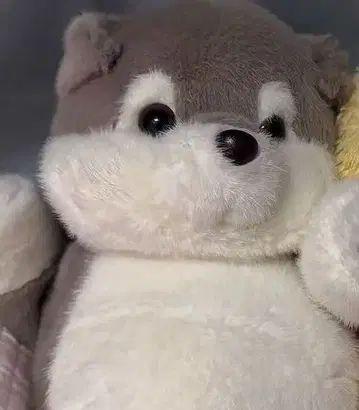 강아지 봉제 인형 약 30cm 그레이와 화이트