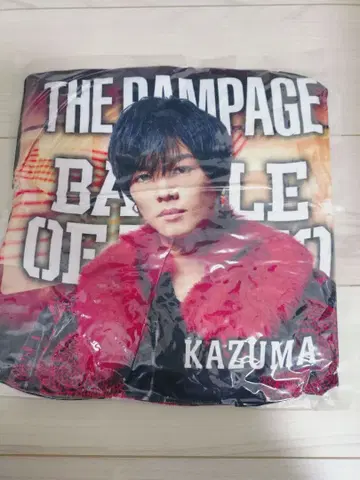 카와무라 카즈마 THE RAMPAGE BATTLE OF 2020 쿠션
