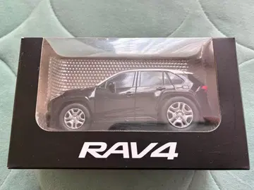 도요타 RAV4 풀백카