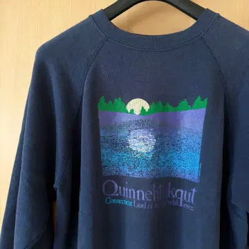 USA Hanes 80s 90s 프린트 맨투맨 네이비 XL