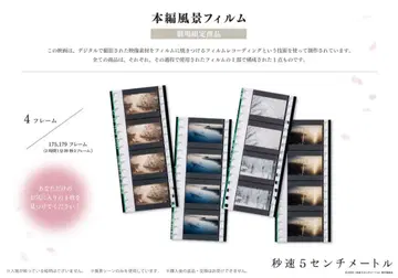 초속 5센티미터 본편 풍경 필름