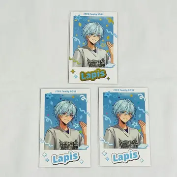 STPR Family 랜덤 포토 카드 레어  Lapis