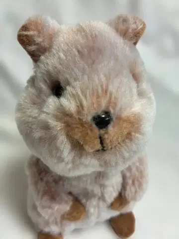 플러피즈 S 쿼카 세계에서 가장 행복한 봉제 인형 선레몬 오리지널