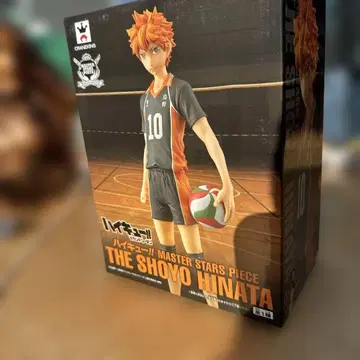 하이큐 피규어 히나타 쇼요