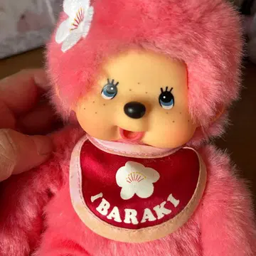 지역 한정 이바라키 몽치치 (매실 몽치치)