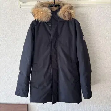 피레넥스 안시 S