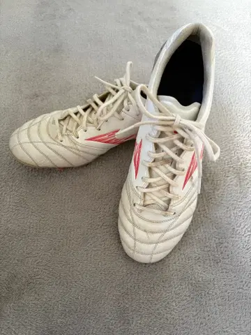 모나르시다 네오 3 엘리트 26.5cm