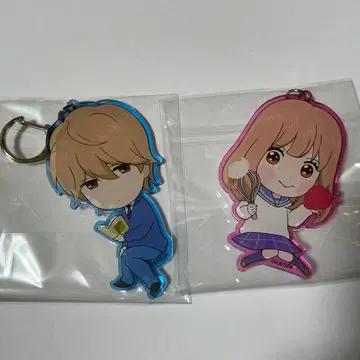 나의 히어로 아카데미아 빅 아크릴 키링 2개 세트 쇼토 엔데버