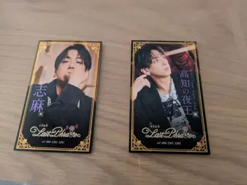 시마 실사 명함풍 카드 홀로