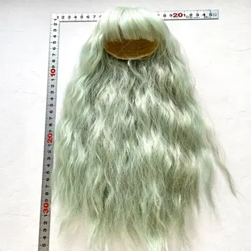 인형 가발 브라이스 사이즈