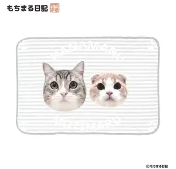 모치마루 일기 담요