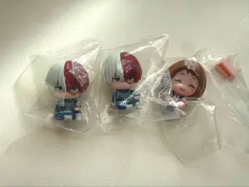 히로아카 스와라세타이 토도로키 쇼토 우라라카 오챠코