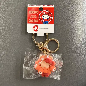미야쿠미야쿠 변신 입체 마스코트 헬로키티 최애 컬러 키링