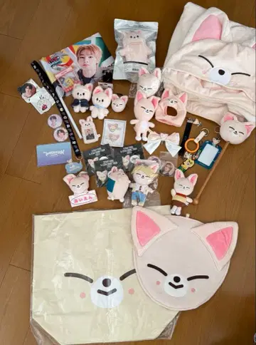 StrayKids 스키즈 아이엔 폭시니 묶음 판매