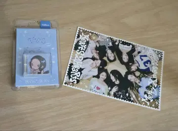 Focus Mini (포커스 미니) 크리스마스 엽서 포함