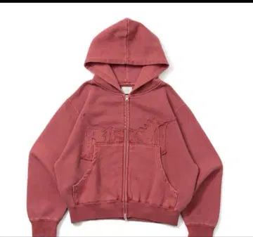 BLESS U 지퍼 후드티