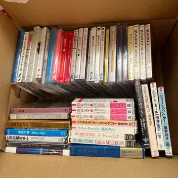 CD 50장 이상 묶음 판매 2