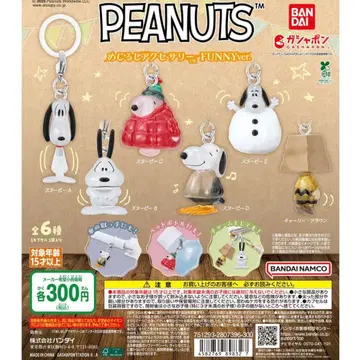 피넛/메지루시 액세서리/컴플리트 세트 4