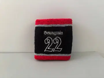 Stray Kids 리스트 밴드 승민