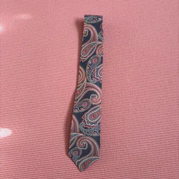 에트로 페이즐리 무늬 넥타이