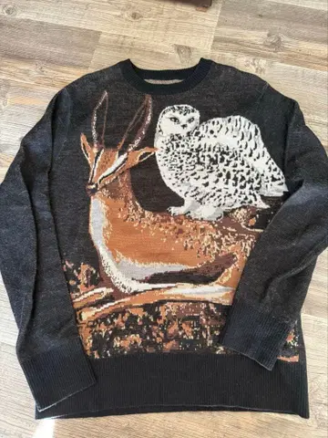 AMERI 동물 패턴 스웨터 긴팔