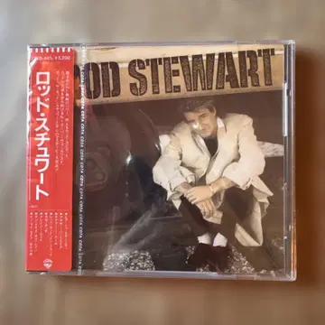 로드 스튜어트 Here to Eternity 구 규격 미개봉