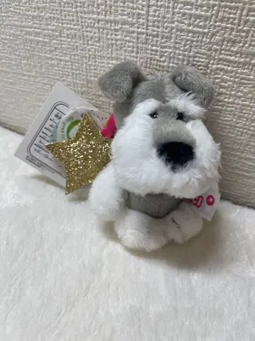 NICI 슈나우저 별 키링 [택 포함]