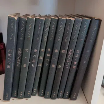 고서 헤르만 헤세 작품집 1~10, 14권