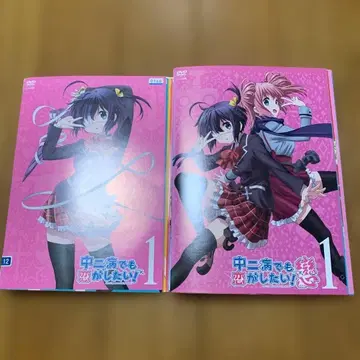 [ 전권 세트 ] 중2병이라도 사랑이 하고 싶어! 1기+2기 전권 DVD