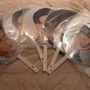 메구로 렌 부채 역대 세트